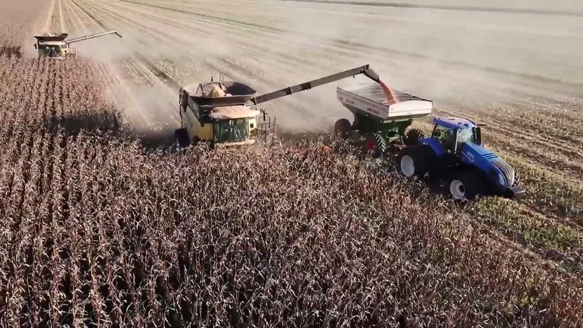 Abraçadeira de nylon ou inox? Como escolher